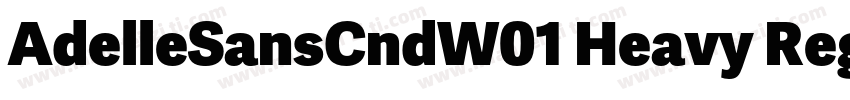 AdelleSansCndW01 Heavy Regular字体转换